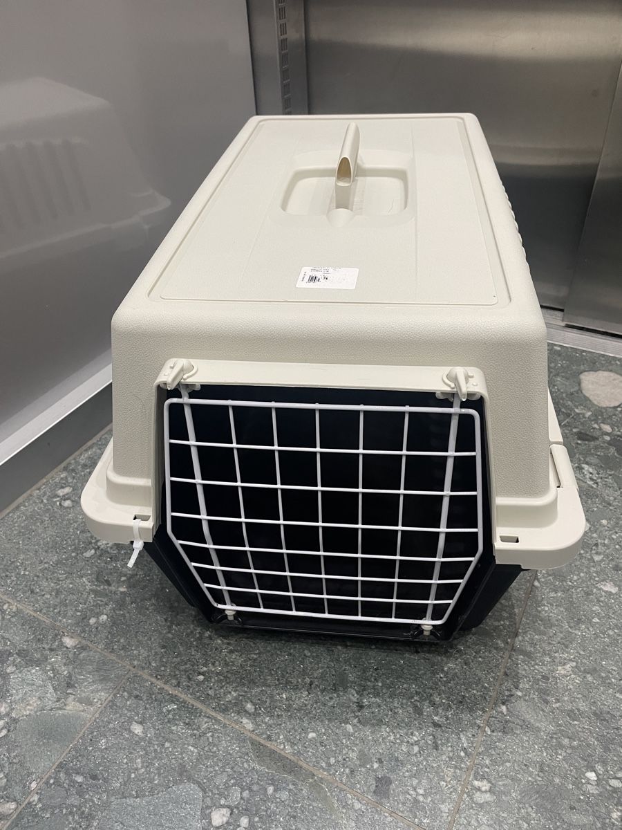 Niches, paniers: Transportbox Katze – D'occasion à Schlieren par kaeschef