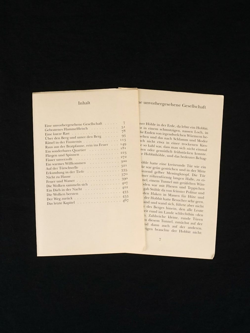 Bücher: Buch "Der kleine Hobbit" von J.R.R. Tolkien – Gebraucht aus Pratteln von  6