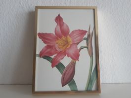 Fotorahmen, Metall goldfarben