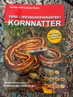 Kornnattern