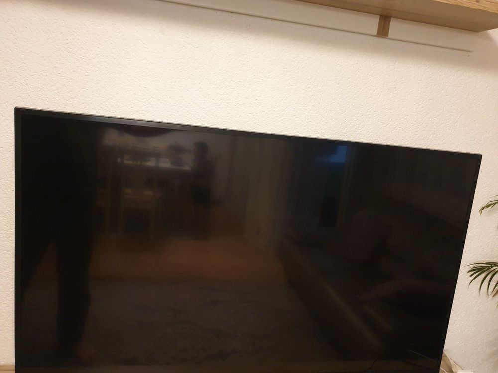 Samsung smart tv 65 Zoll QLed. Defekt Kaufen auf Ricardo