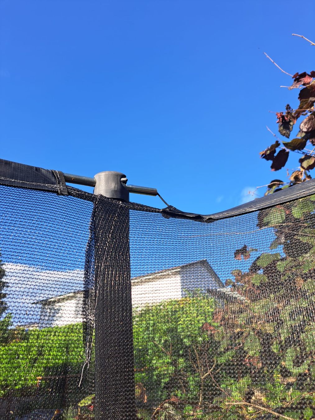 Trampoline: Exit Trampolin – Gebraucht aus Dachsen von Mickymausi 4