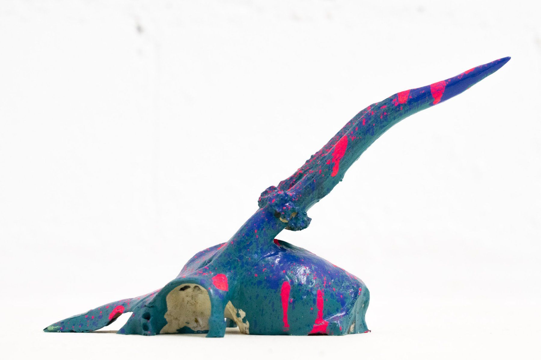 Sculture & Statue: Geweih Art Nr. 2 - Versand möglich – Usato da Schaffhausen venduto da Studio-Ara 8