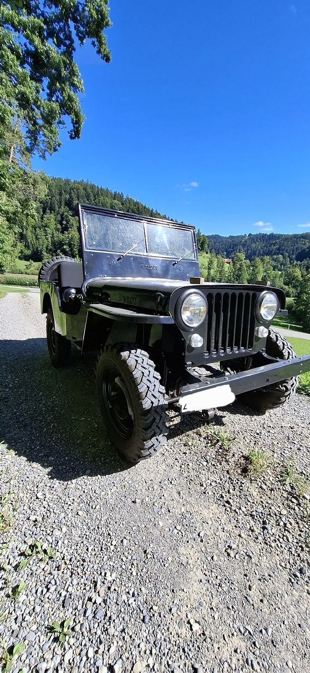 Jeep Automobili: Willys Jeep Cj 2A – Usato da Wila venduto da Aschm311 1