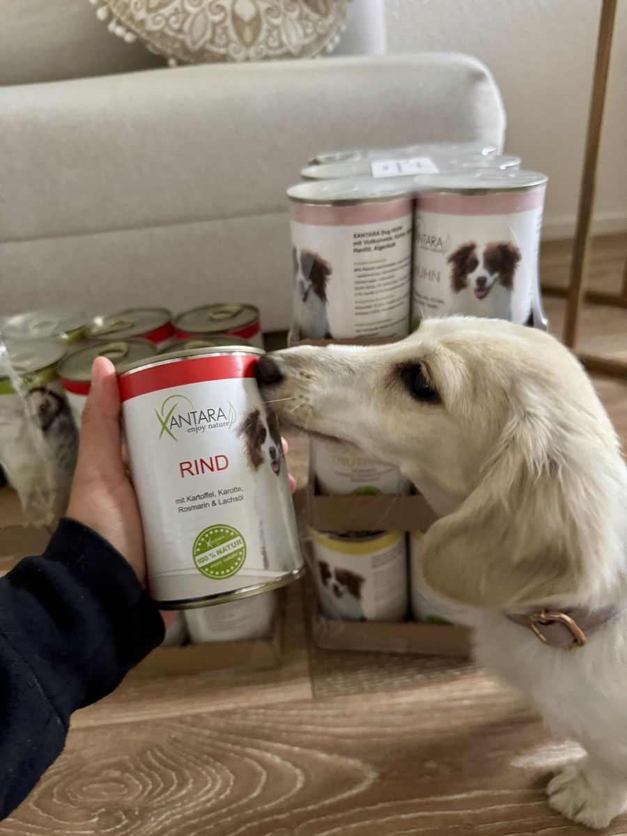 Xantara all natural Dog Food, 38 Cans, Various Flavors (Neu und  originalverpackt) in Zrich fr CHF 125  nur Abholung auf Ricardo kaufen