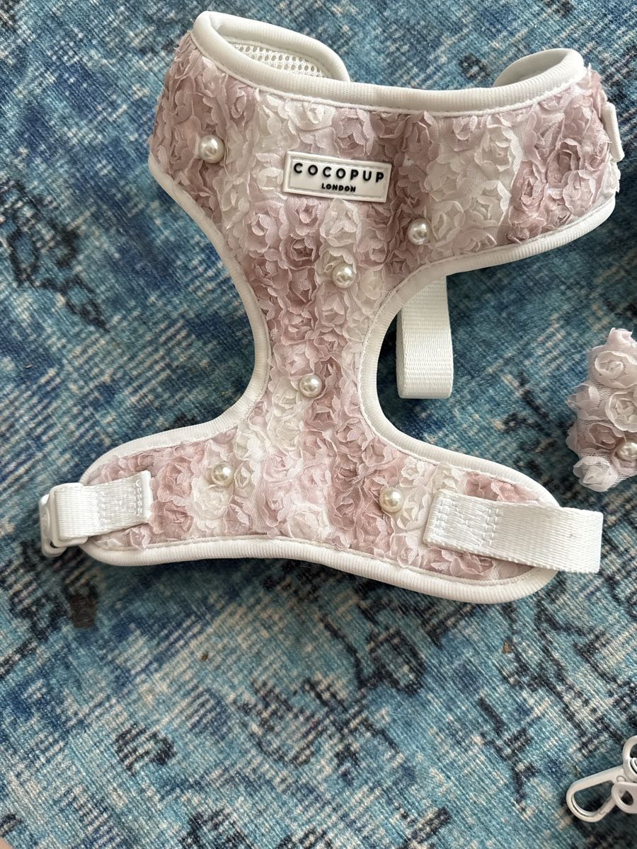 Attrezzatura da arrampicata: CoCoPup London Hunde Set S – Usato da Zürich venduto da wil_2sm9 3