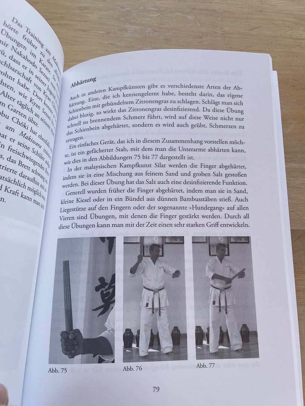 Libri: Die verschollene Tratitionen des Okinawa- Karate – Nuovo (secondo la descrizione) da Sent venduto da ManuelB07 4