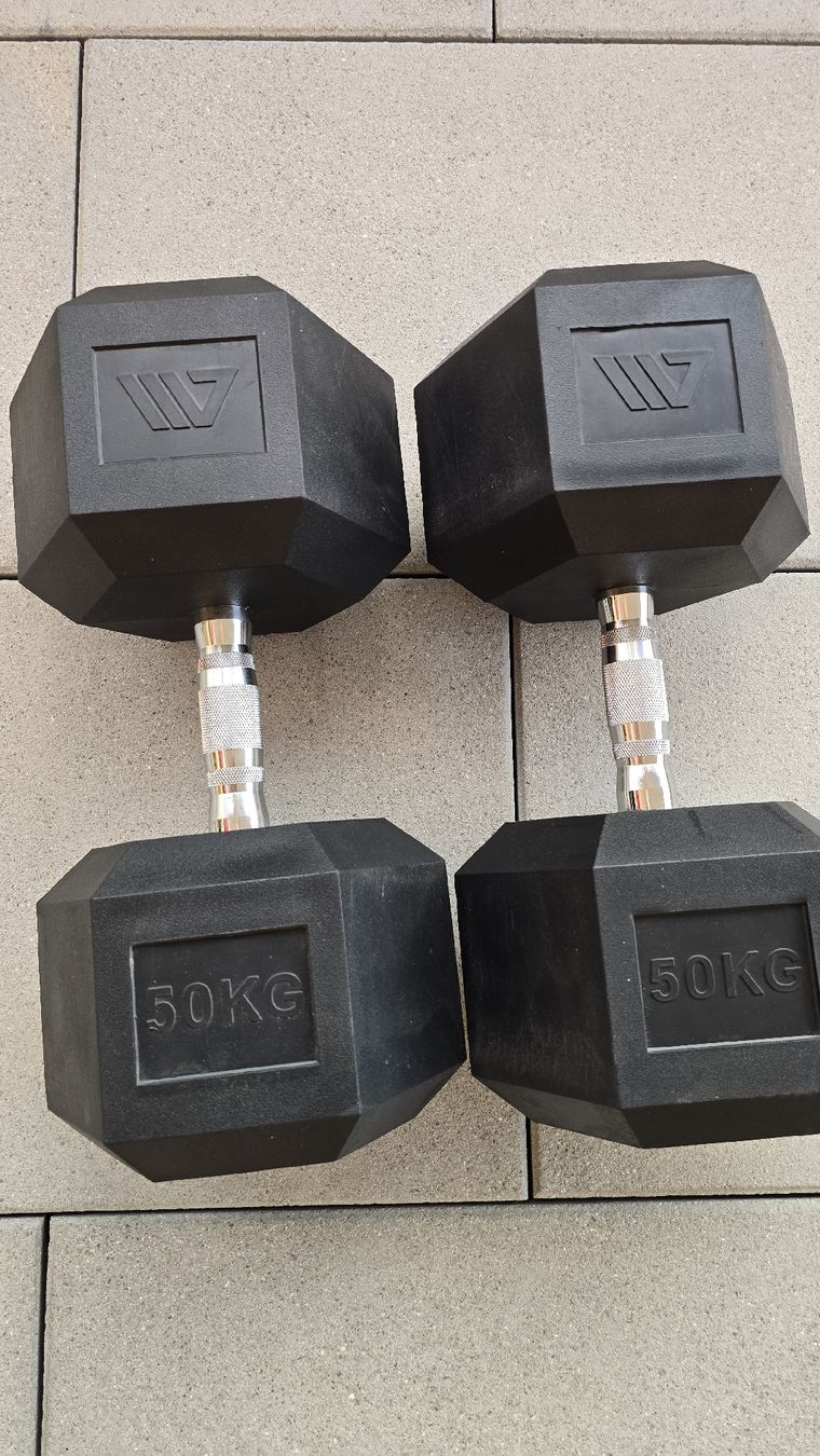 Manubri & Pesi: 2×50kg – Usato da Baldegg venduto da tse_xqc5 2