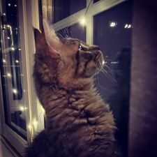 Profile image of Buddy9889