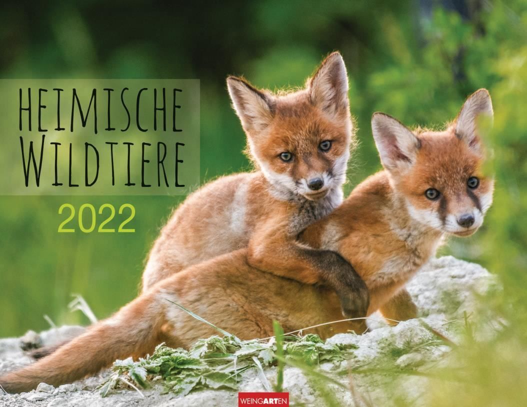 Altri accessori da donna: WEINGARTEN Heimische Wildtiere 354494... – Nuovo e nell'imballaggio originale da Safenwil venduto da clickandbeauty