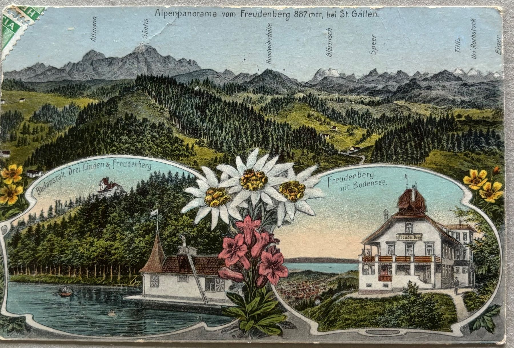 Cartoline postali: St. Gallen, Freudenberg, 1908, Enzian – Usato da Frauenfeld venduto da Merk52