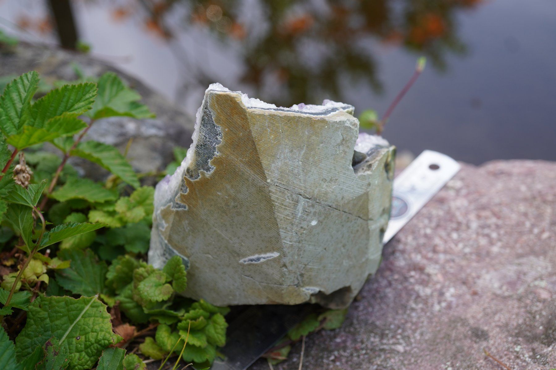 Minerali & Pietre curative: Amethyst Drusen Stück  ca 9cm x 10cm    no1 – Nuovo e nell'imballaggio originale da Eschenbach SG venduto da topstone 5