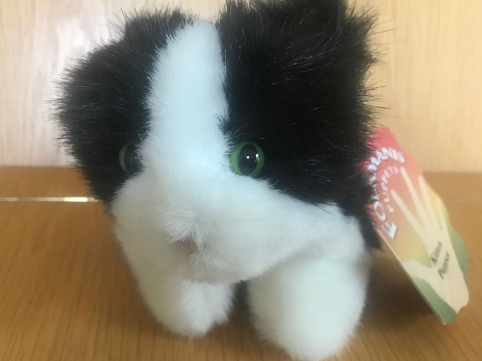 Bambole: FOLKMANIS: Handpuppe Kätzchen  / NEU – Nuovo e nell'imballaggio originale da Dürrenäsch venduto da Didaedi 3