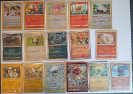 Pokemon Karten Sammlung
