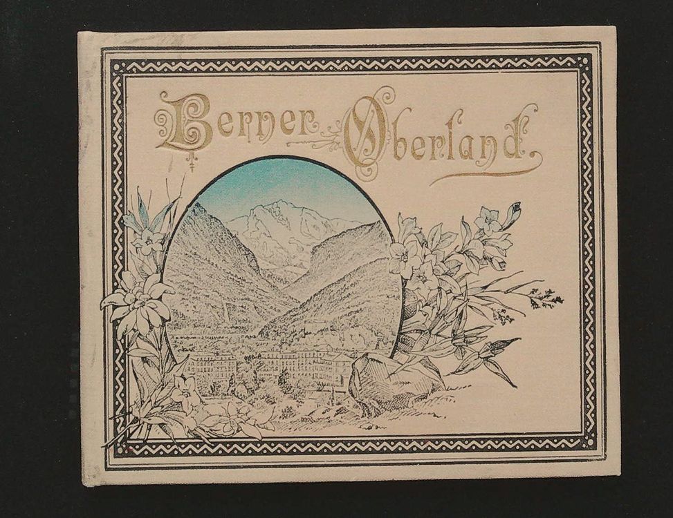 Leporello Dresden & Sächsische Schweiz – Original Vers 1890, 104 Cm De Long