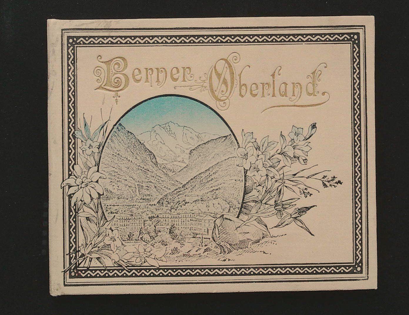 Libri: Berner Oberland Leporello um 1890 – Usato da Rafz venduto da booksell