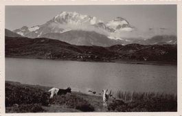 ALPIN: Hopschen-See, Fletschhorn, Hotel Bellevue-Kulm