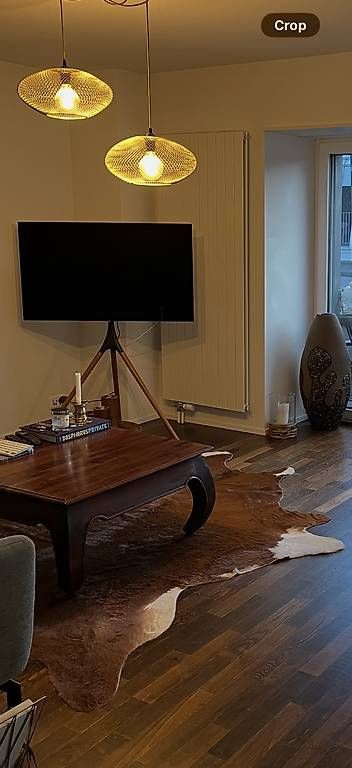 Appareils TV: Tv mit Stativhalterung – D'occasion à Kilchberg ZH par Zee7 2