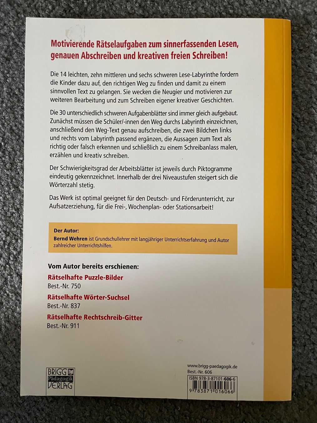 Libri: Rätselhafte Lese Labyrinthe Lehrmittel Primarschule – Usato da Esslingen venduto da Zeppi1 1