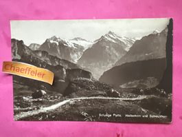Schynige-Platte. Wetterhorn und Schreckhorn