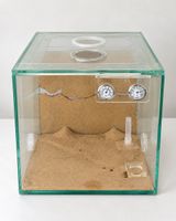 Glashaus, Terrarium 20x20x20