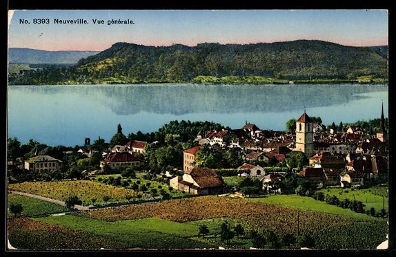 Cartoline postali: AK Neuveville, Vue générale – Usato da Berlin venduto da bartko-reher