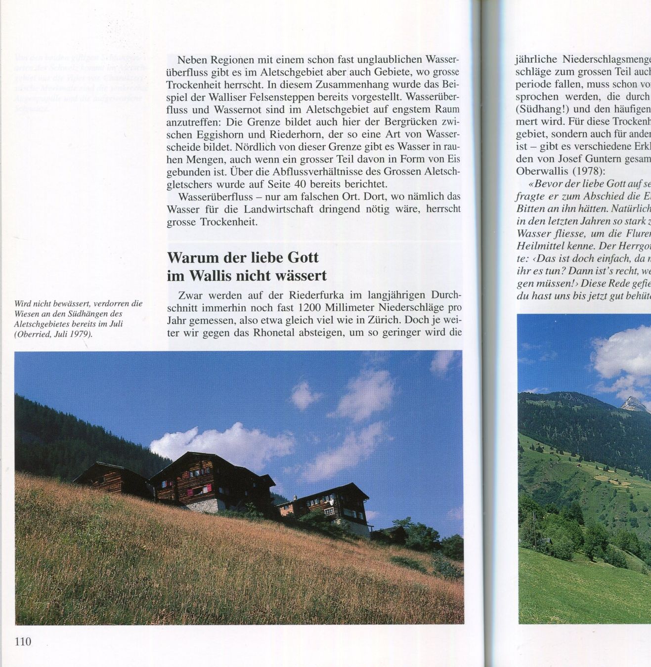 Bücher: Wallis, Aletsch, Landschaft, Natur – Gebraucht aus Aarau von Elmaar41 4