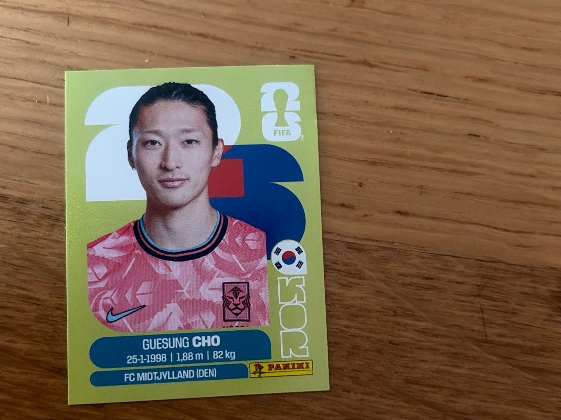 Panini Cartes à collectionner: PANINI FIFA WORLD CUP 2026 - KOR 17 – D'occasion à Orbe par heglau