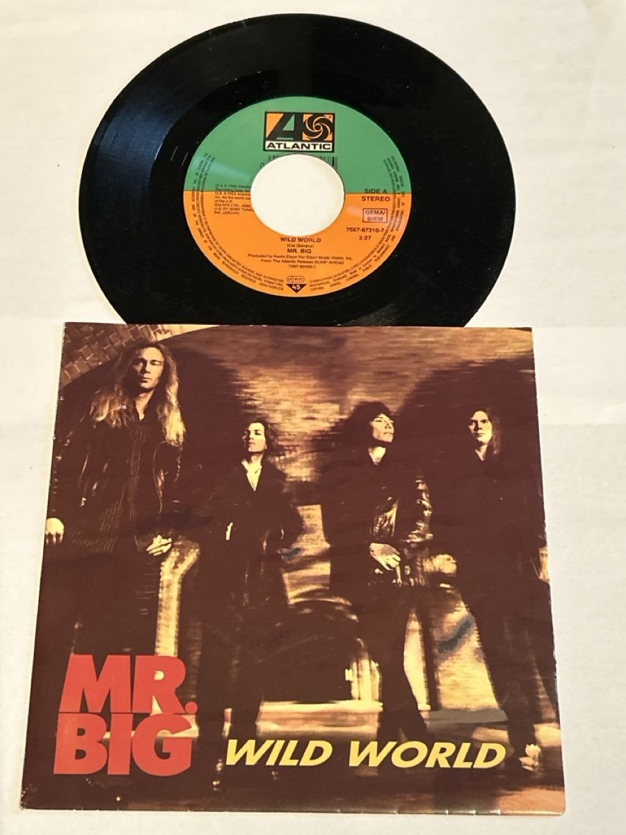 Dischi in vinile: MR. BIG. 1993. Wild World – Usato da Faulensee venduto da Mizuno06