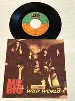MR. BIG. 1993. Wild World