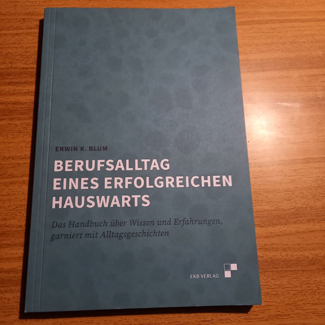 Libri: Berufsalltag eines erfolgreichreichen Hauswarts – Nuovo (secondo la descrizione) da Galgenen venduto da Allerlei8854