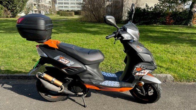 Kickstarter Aus Stahl Für 50ccm 2-Takt Roller (1E40QMB Motor) – Passend Für EPPELLA, ERING, EXPLORER U.a.