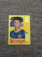 Panini WM 2026 - BIH 15