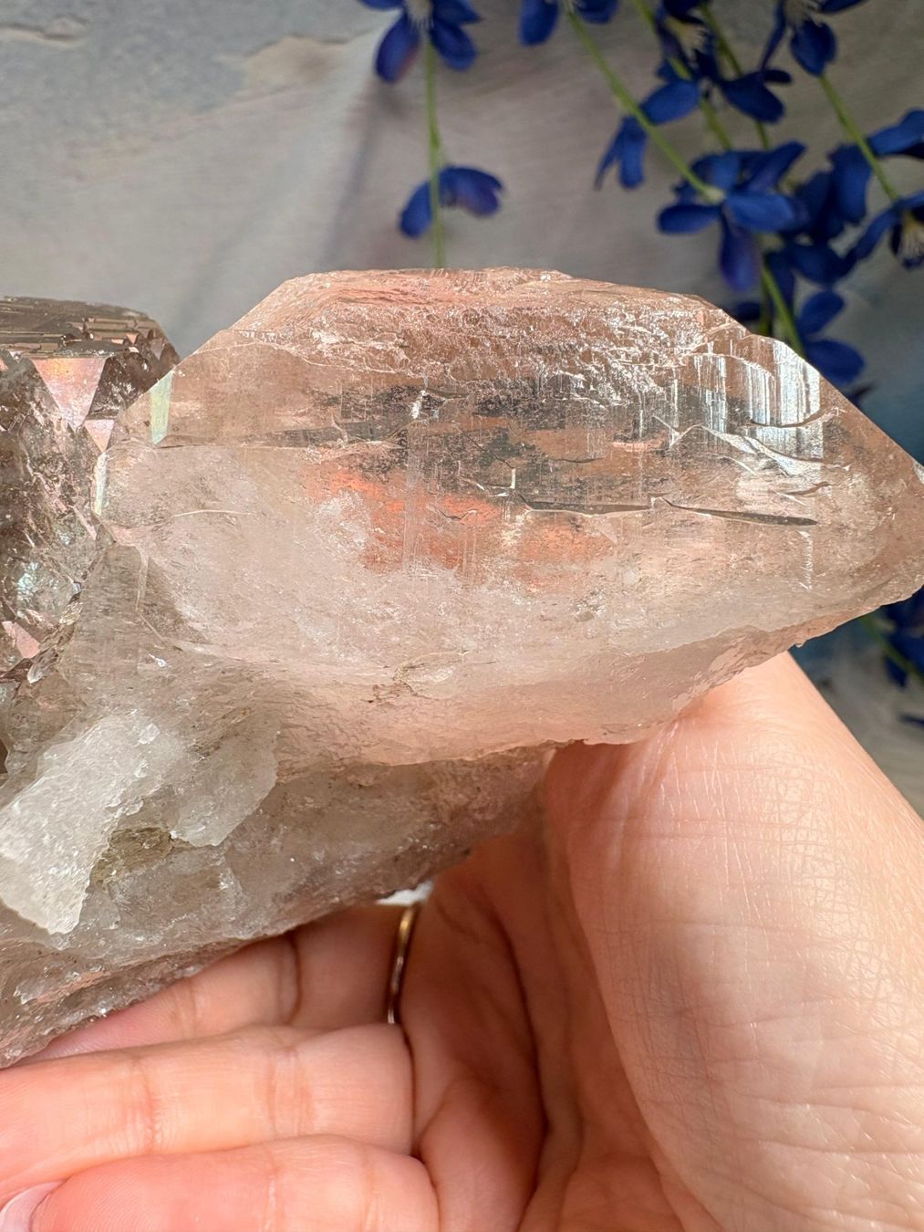 Pietre preziose: Rauchquarz Gwindel Grimelpass – Nuovo e nell'imballaggio originale da Neuheim venduto da m.hald 8