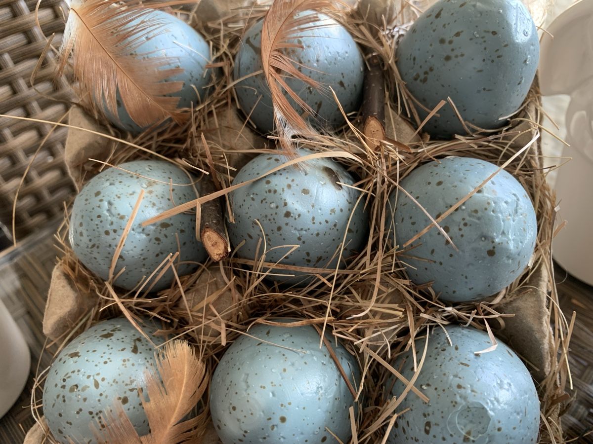 Migros Tutte le decorazioni: Wunderschöne Hasenfiguren, Osterdekoration! – Nuovo (secondo la descrizione) da Emmenbrücke venduto da Dior09 3