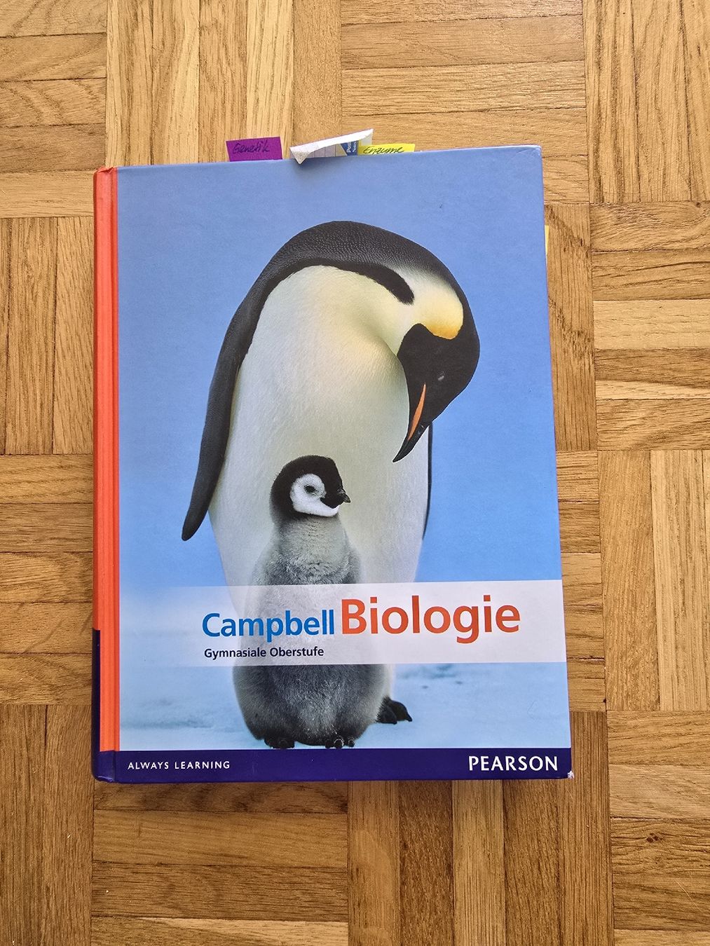 Libri: Campbell Biologie Buch Gymnasium – Usato da Rabius venduto da sar_r7ls