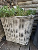 Blumentopf Korb Rattangeflecht rechteckig 53x53 Höhe 51