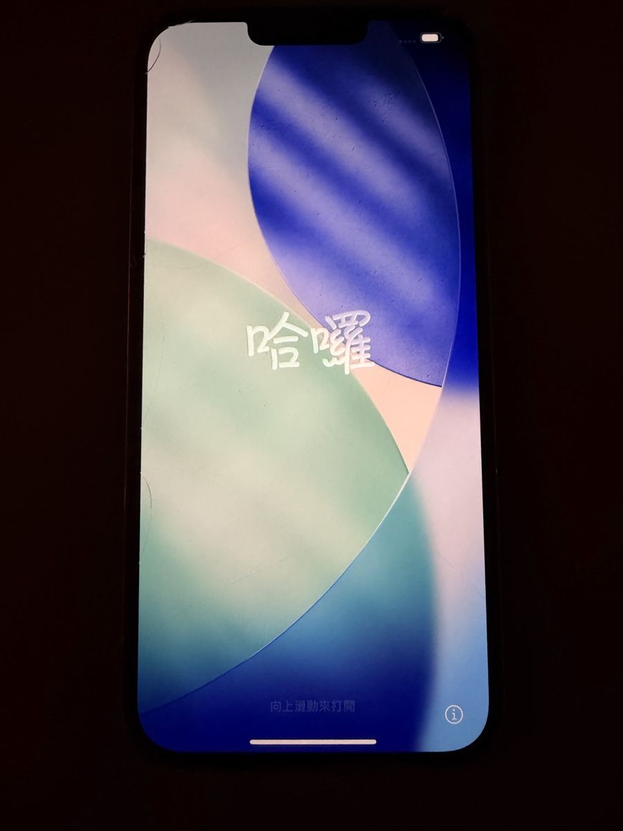 Apple Handys / Smartphones: iPhone 13 Pro Max – Gebraucht aus SCHERZINGEN von Corinne131313