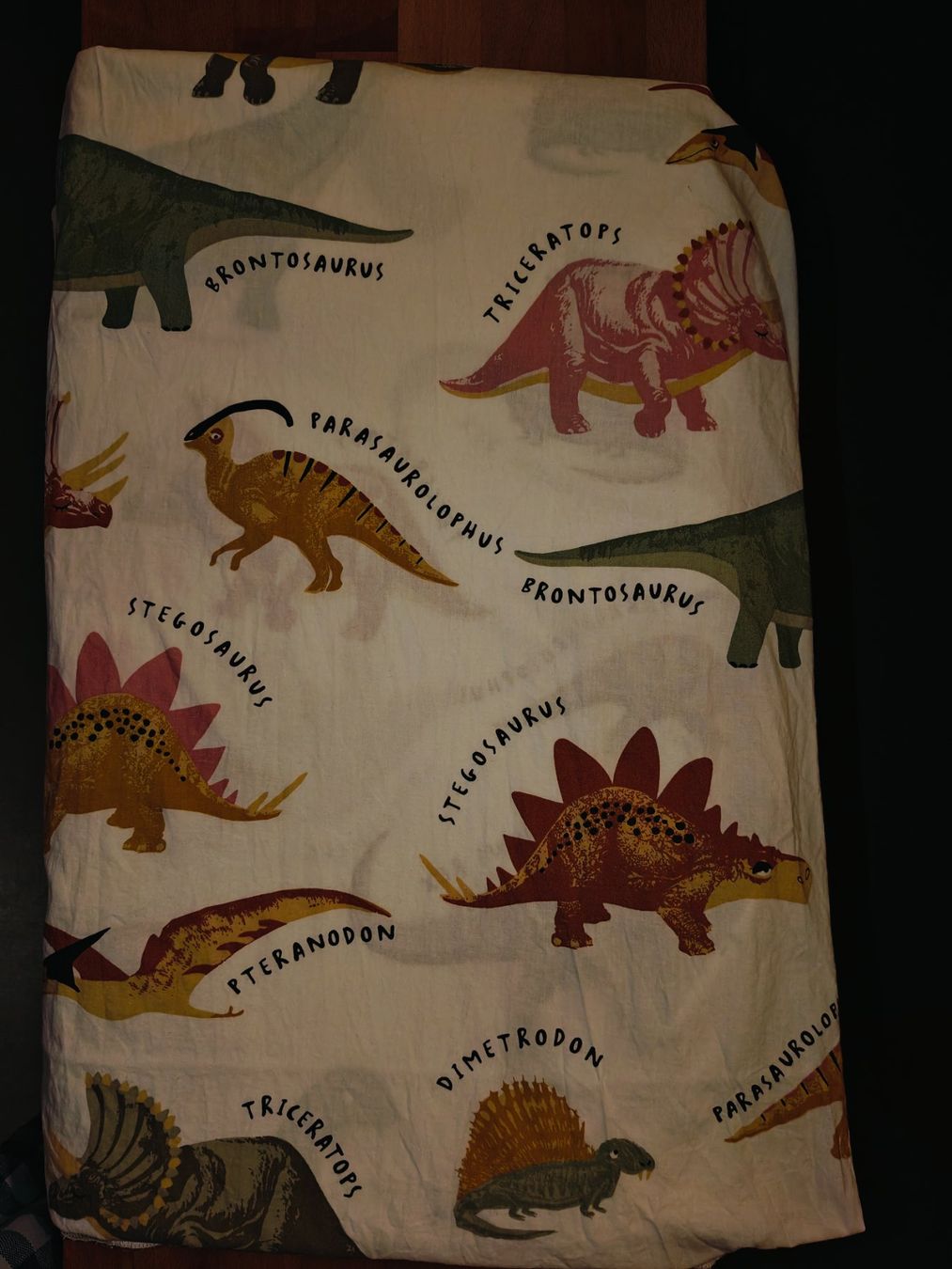 Rideaux: Vorhänge Dinosauriermotiv – D'occasion à Bern par mea_c2ft 1