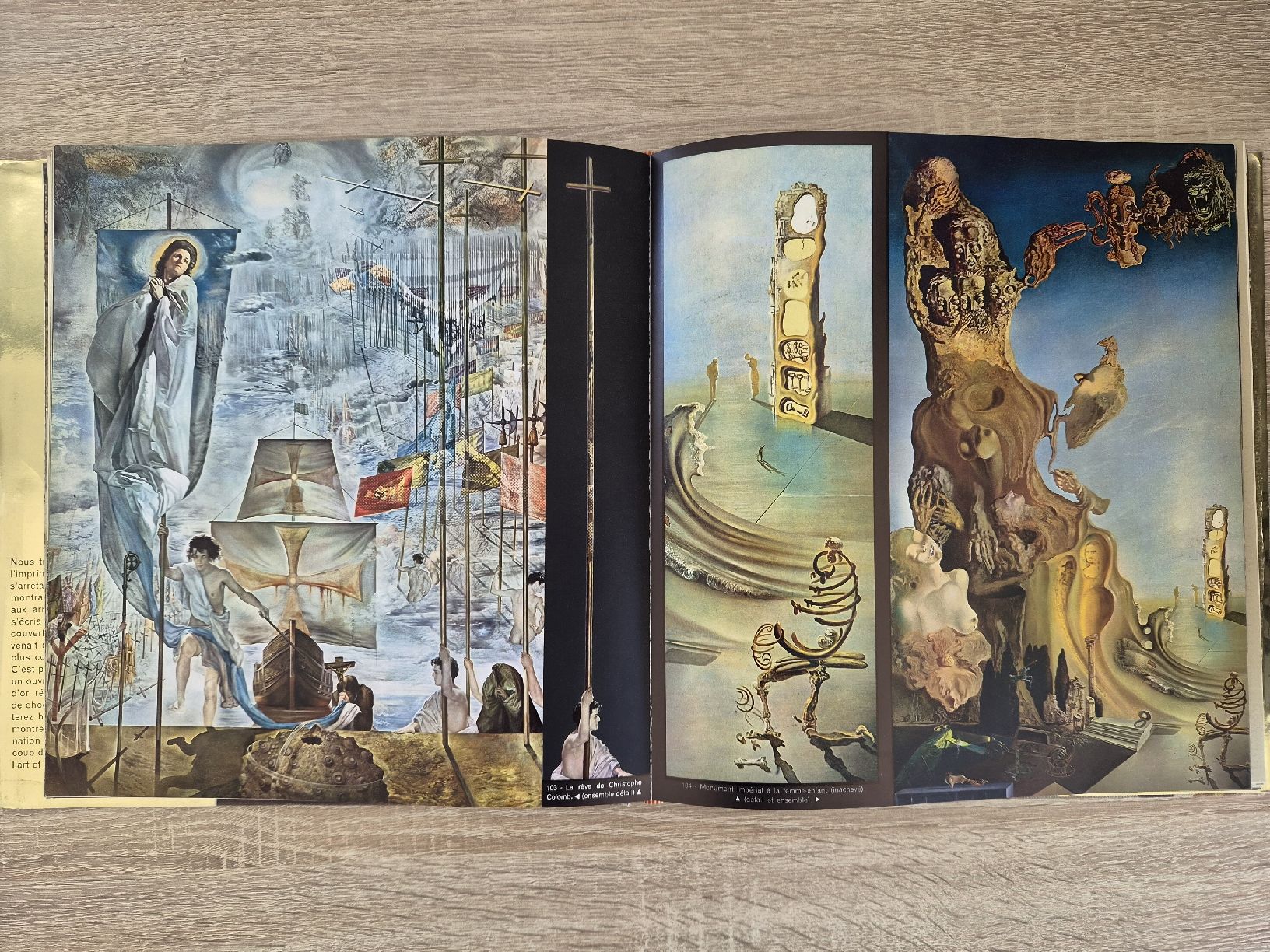 Livre d'art Dali édition Draeger, illustré, bon état (Gebraucht) in ...
