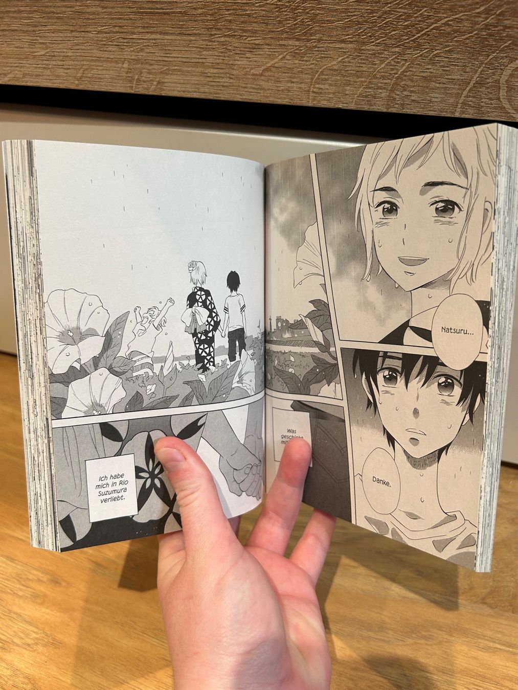 Comics: Our summer Holiday Manga – Gebraucht aus Bremgarten AG von anh_99st 2