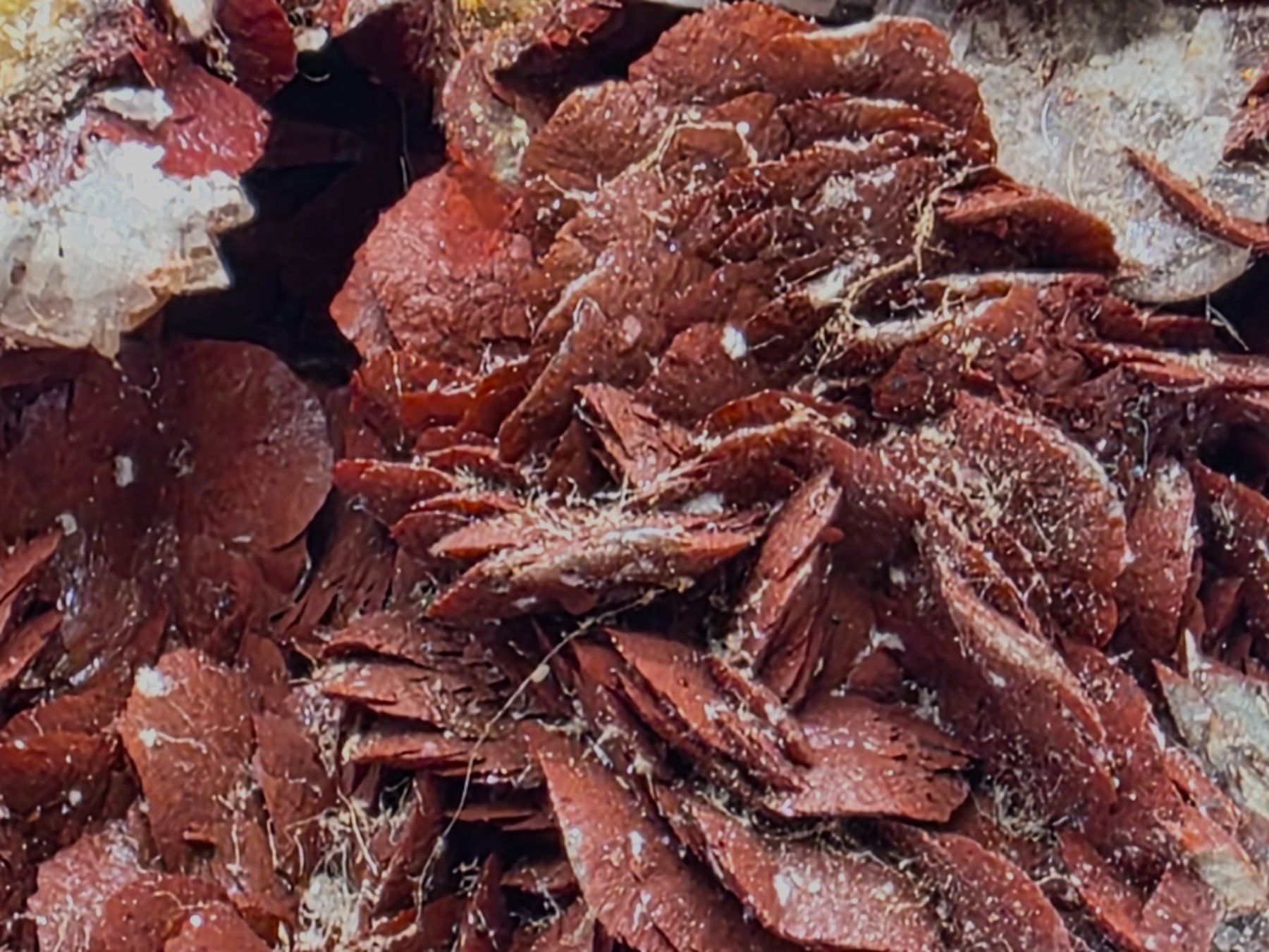 Minerali & Pietre curative: Elegant Siderite Barite , Brosso Mine Italy – Usato da Figino venduto da minshop 4