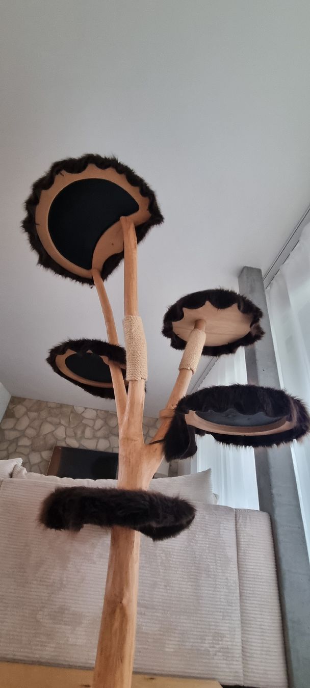 Tiragraffi: Designer Kratzbaum mit 5 Ebenen aus Echtholz – Usato da Hunzenschwil venduto da niicoo 2