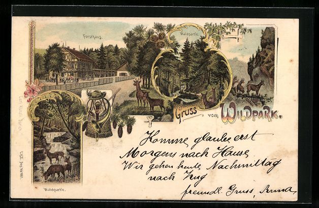 Cartoline postali: Litho Langnau am Albis, Gruss vom Wildpa – Usato da Berlin venduto da bartko-reher