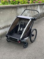 Thule Chariot Lite Double Fahrradanhänger