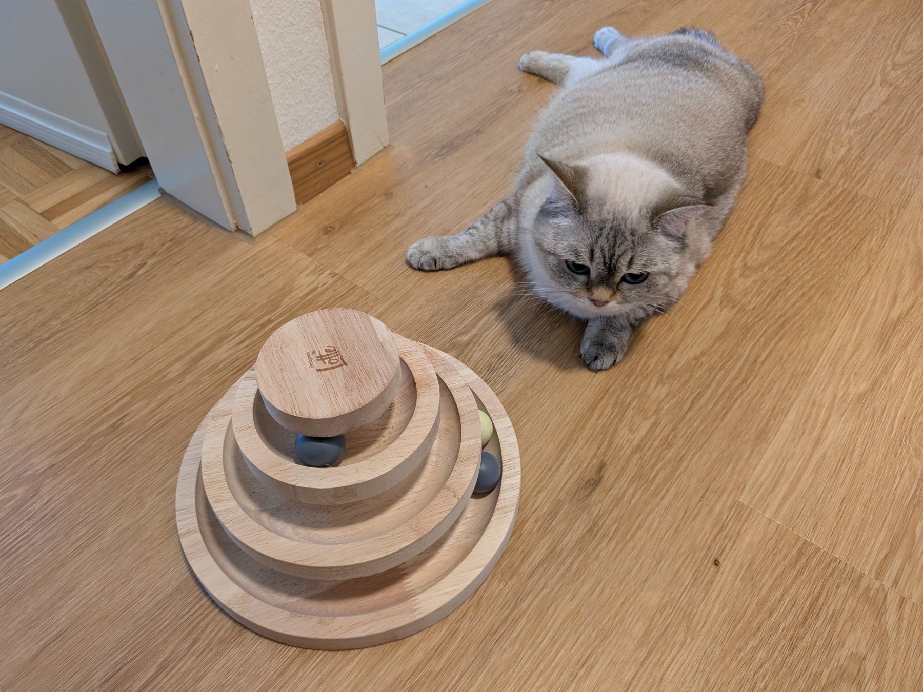 Giocattoli: Ballspielzeug Katze – Usato da Effretikon venduto da lan_7j8r 1