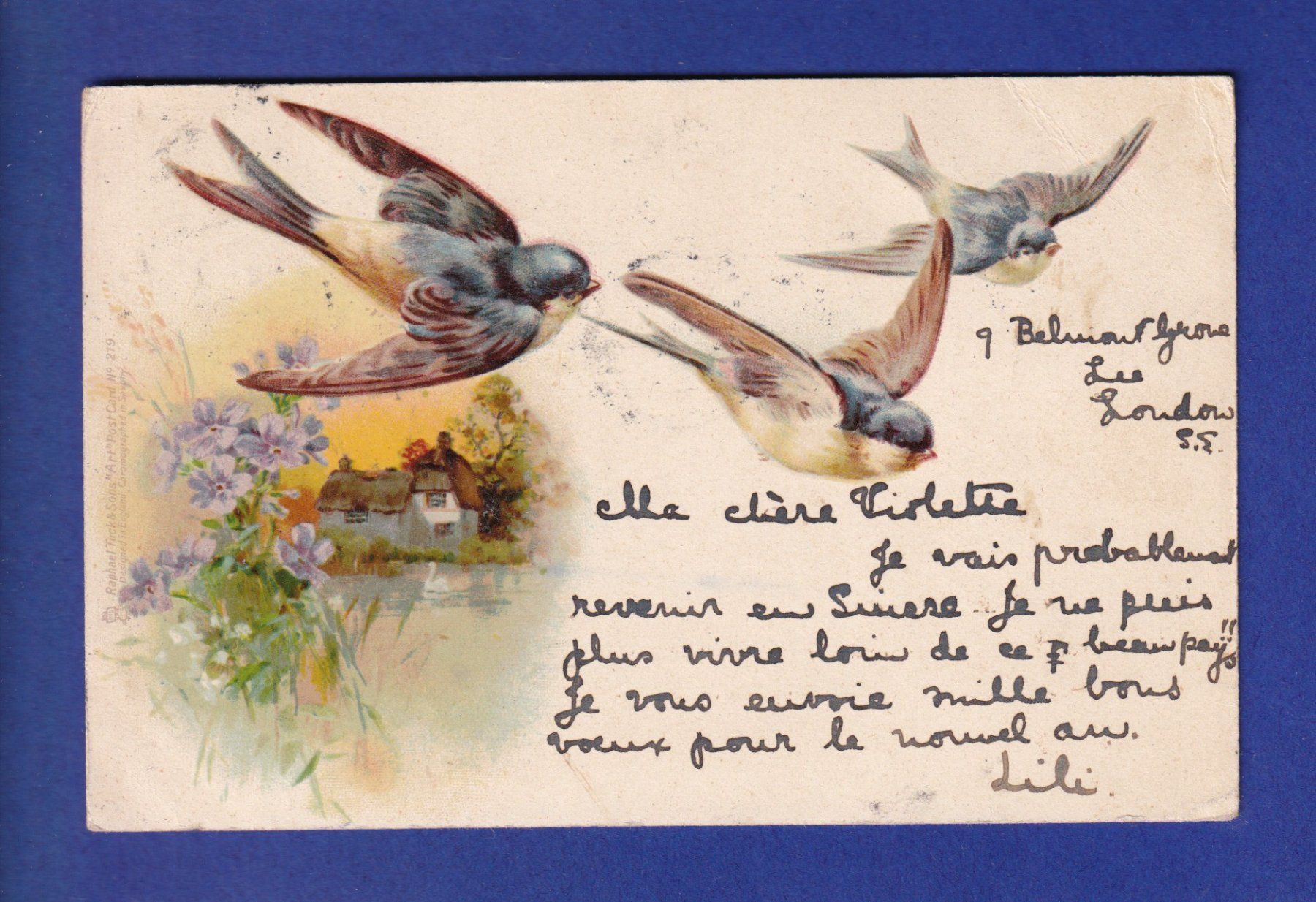 Ansichtskarten: OISEAU - Hirondelles // pli d'angle // – Gebraucht aus Pully von nicecards-shop