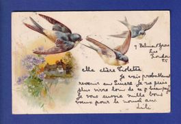 OISEAU - Hirondelles // pli d'angle //
