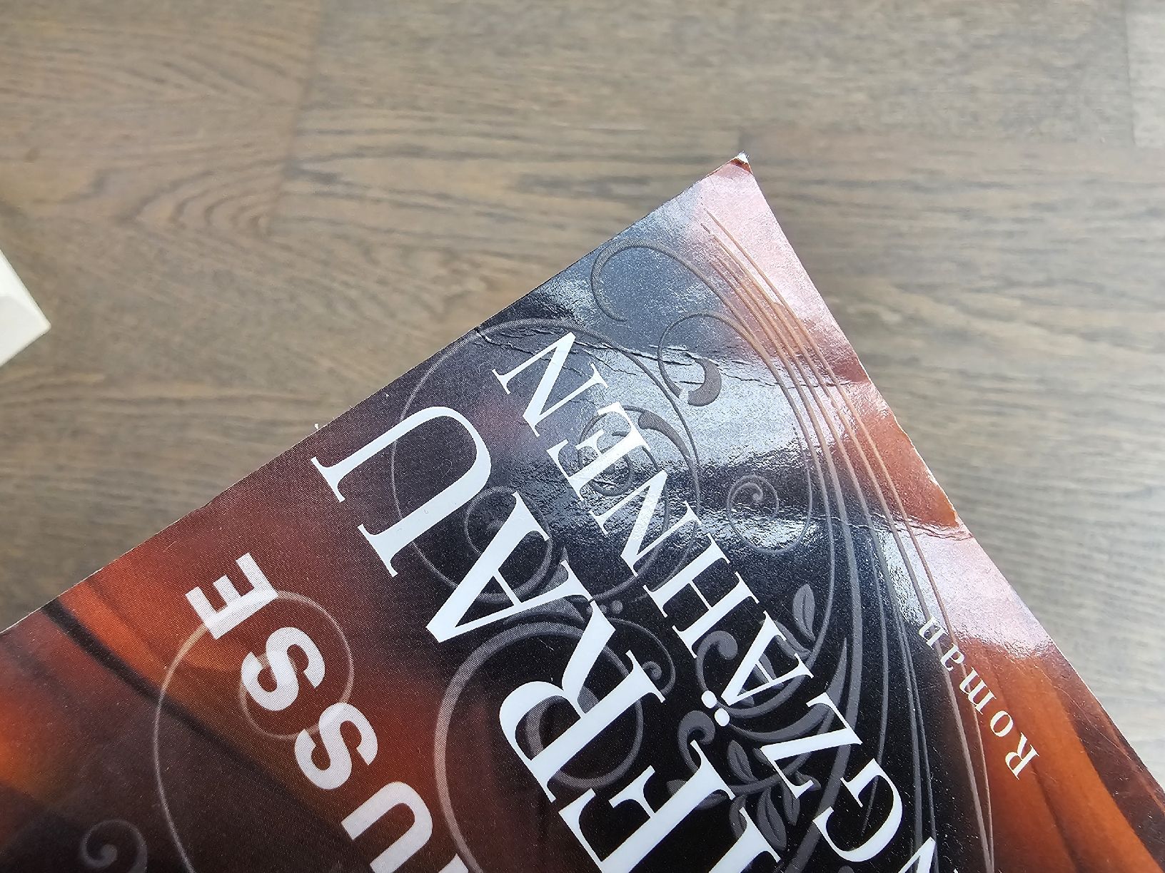 Livres: The Darkwing Chronicles - Savannah Russe – D'occasion à Hinterforst par impatiently 5