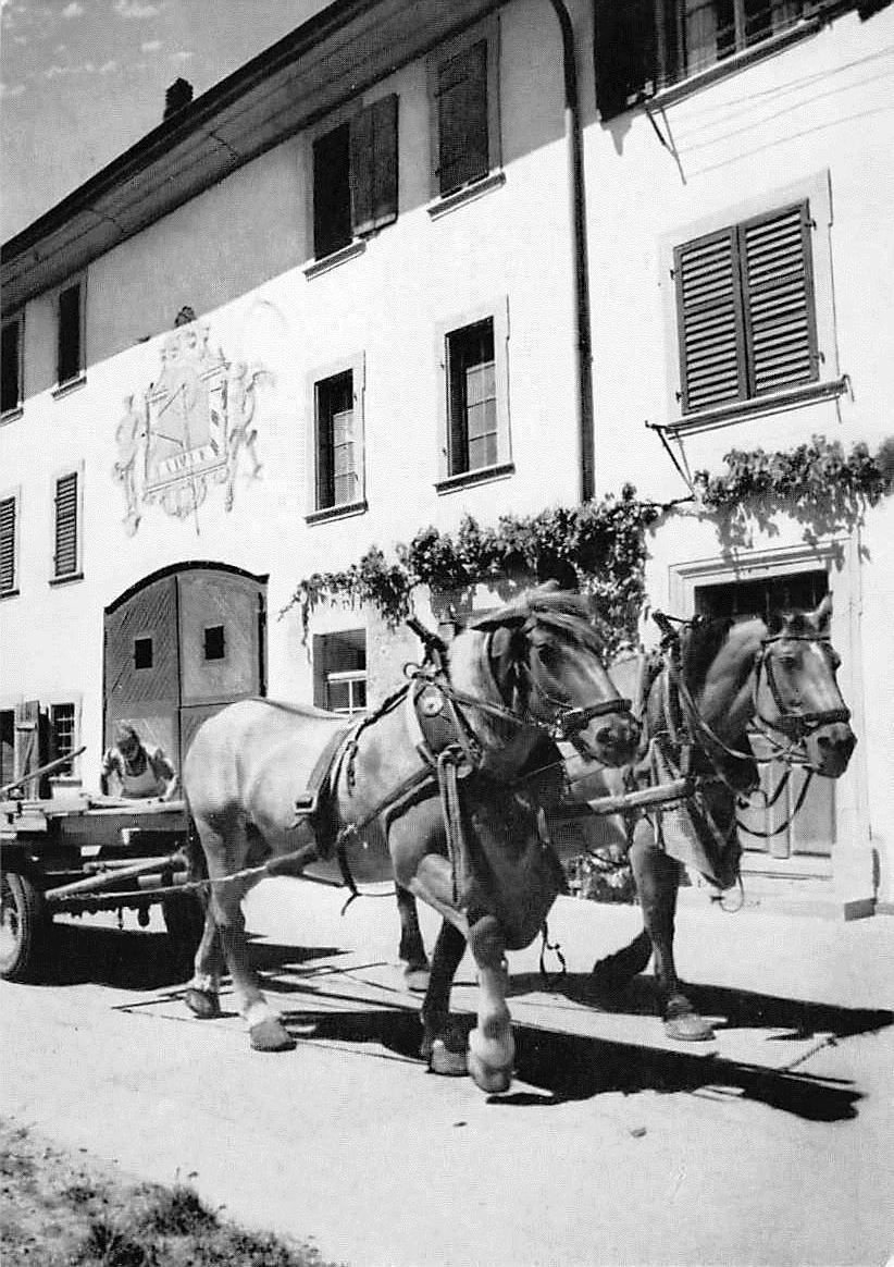 Cartoline postali: NEUNKIRCH SH PFADFINDERINNEN 1950 – Usato da Winterthur venduto da SchatzchischtliWinti